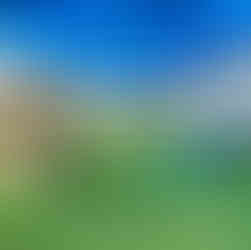 שיפוץ חצרות ומוסדות חינוך. קרדיט: עיריית חיפה