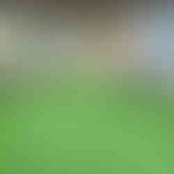 שיפוץ חצרות ומוסדות חינוך. קרדיט: עיריית חיפה