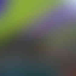 שיפוץ חצרות ומוסדות חינוך. קרדיט: עיריית חיפה