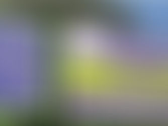 עצירת הדליפות בכספי העירייה