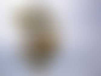 פתיח, חלק 3: המדריך להתמצאות באתר