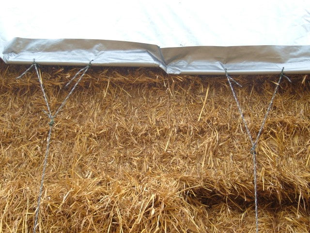 App-Tarp 050 (Small).jpg