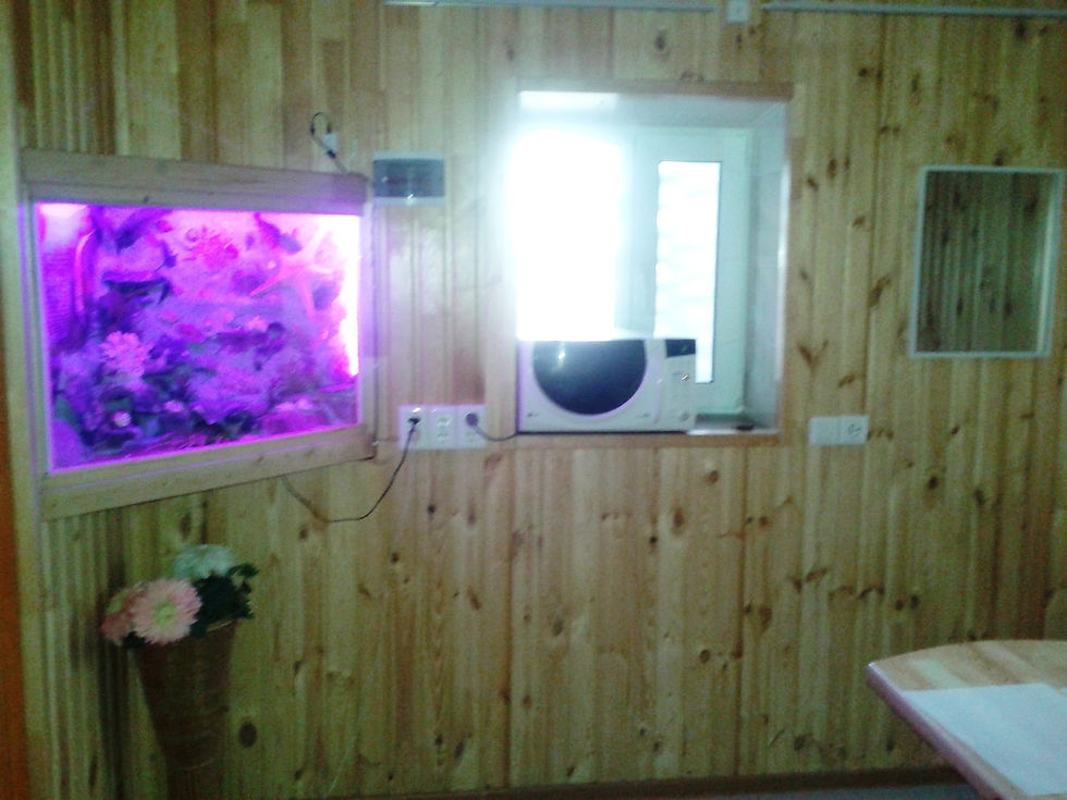 20150619_161220.jpg