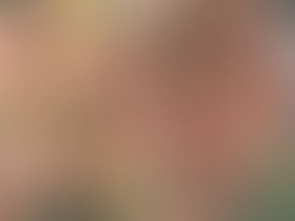 OUT MY BEDROOM WINDOW