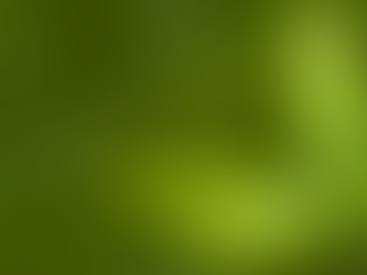 Antioxidants: Nature’s Defense System for Your Body and Mind