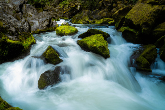 Toketee Falls in western Oregon was breathtaking. This picture caught the velvety moss in the raging waters below the falls.