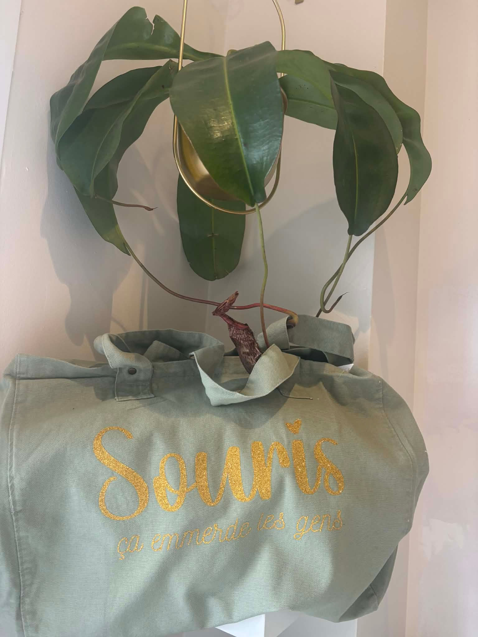 Sac de shopping Olive Souris ça emmerde les Gens