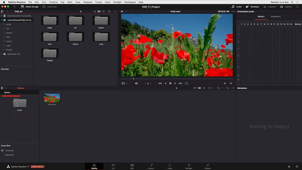 trascina le tue cartelle dalla media storage a master su davinci resolve 17