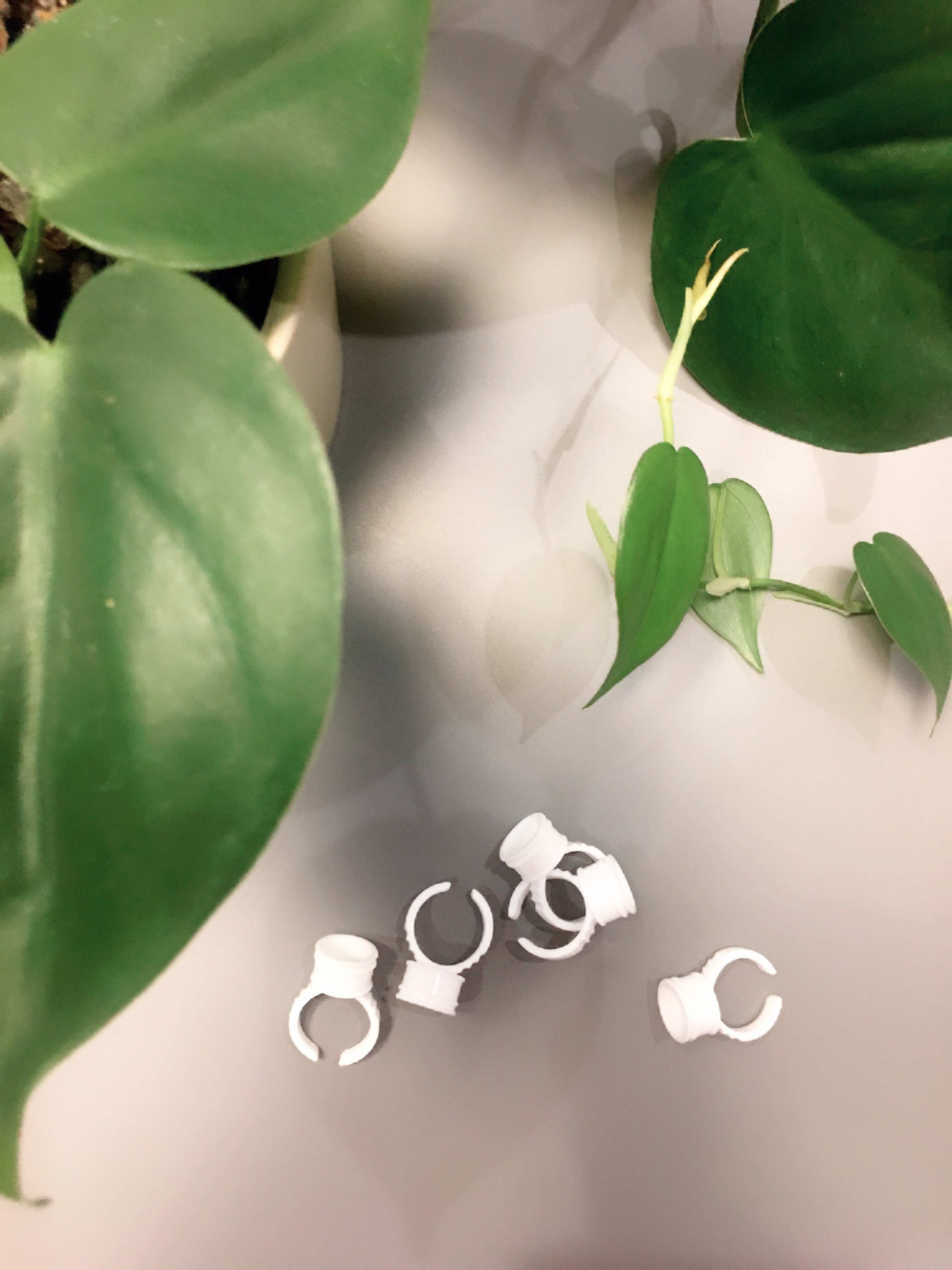 TLBB Glue Ring x20 pack