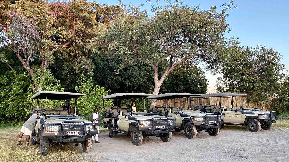 Coches de safari en Lion Sands, Kruger @eduardo_del_alamo