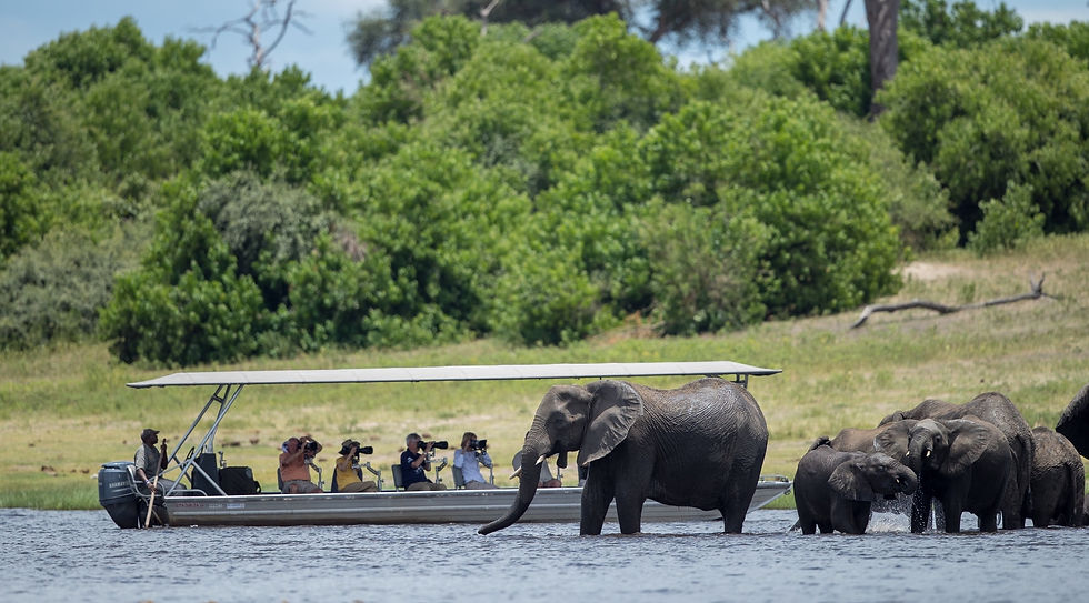 Safari para fotógrafos, África