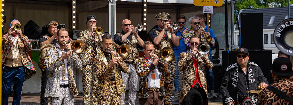 Dweilorkesten festival 9-05-24 (28).jpg