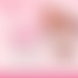 20% OFF New Customers - V Nails Spa