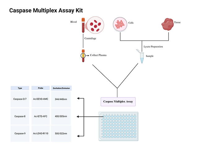 caspase multiplex - Copy.png