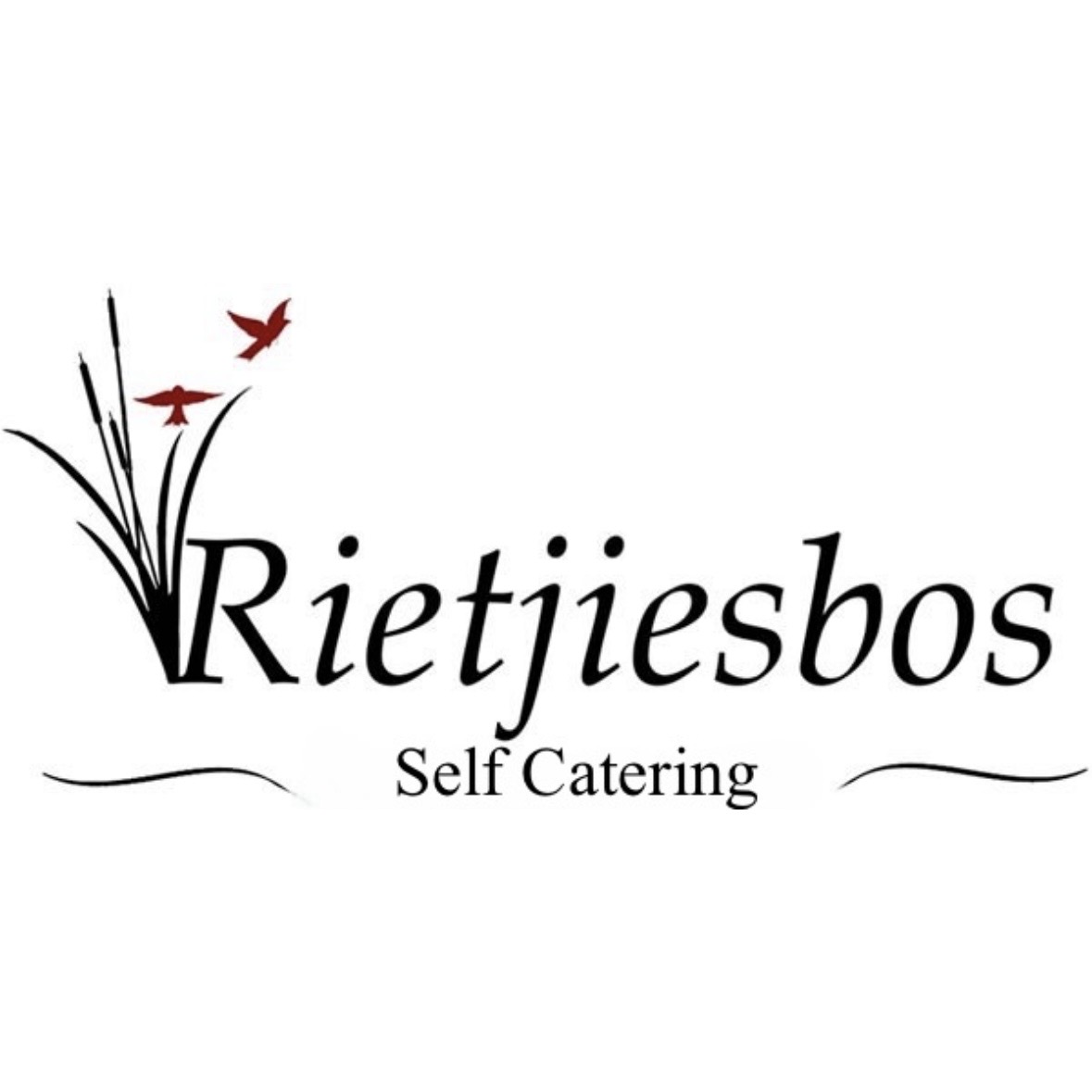 Rietjiesbos B&B in Graaff Reinet, South Africa