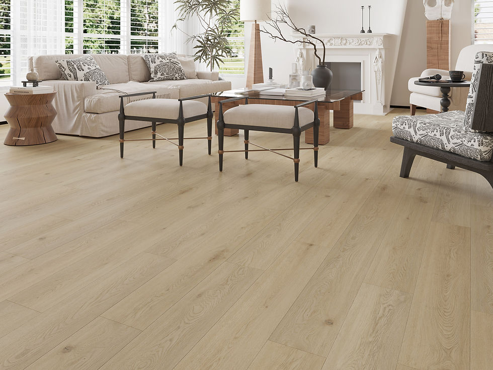 LM-65101施作示意圖