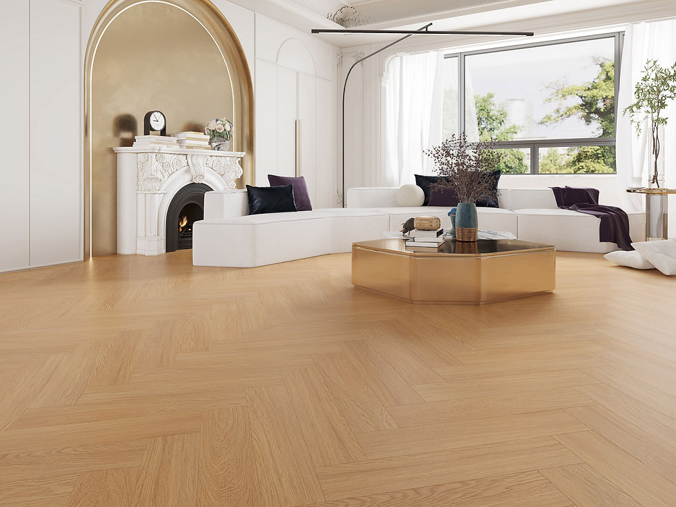 LM-65203施作示意圖