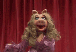 giphy piggy.gif