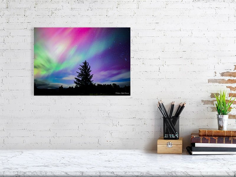 Thumbnail: Aurora at Rothiemarchus Estate Aviemore by Steven Trolland at Cairngorm Pictures