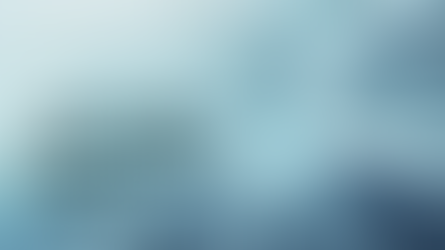 QUEM DECIDE MELHOR: COO Vs CFO?