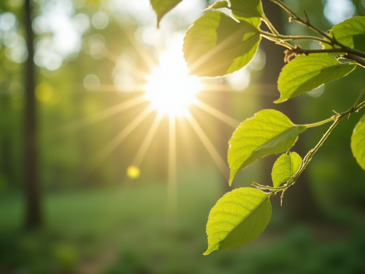 Transform Your Day Instantly with Simple Mood-Boosting Shifts