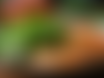 Nutrition and Mental Health in Sports: What Every Competitive Athlete Needs to Know