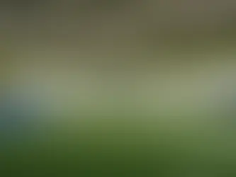 How to Select a Qualified Sport Psychologist for Optimal Performance Enhancement