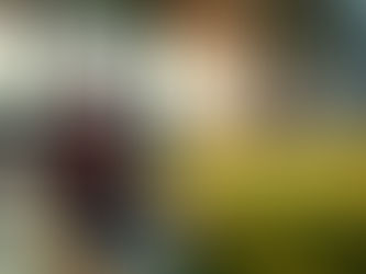 Inside the Premier League Training: Mental Secrets Elite Players Won't Tell You