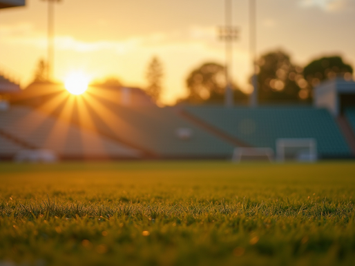 Inside the Mind: Key Questions Sport Psychologists Ask in an Initial Interview