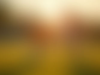 How to Reignite Your Child's Passion for Football: A Parent's Guide That Works