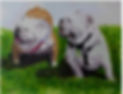 PP bulldog wedding BEST.jpg