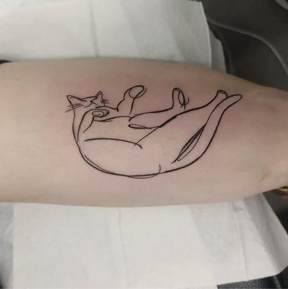 tatouage fin et minimaliste de chat sur le bras fait à bordeaux en gironde