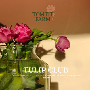 Tulip Club at Tomtit Farm - A New Way to Experience Spring