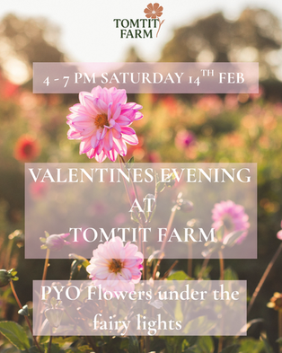 Valentine's Evening at Tomtit Farm