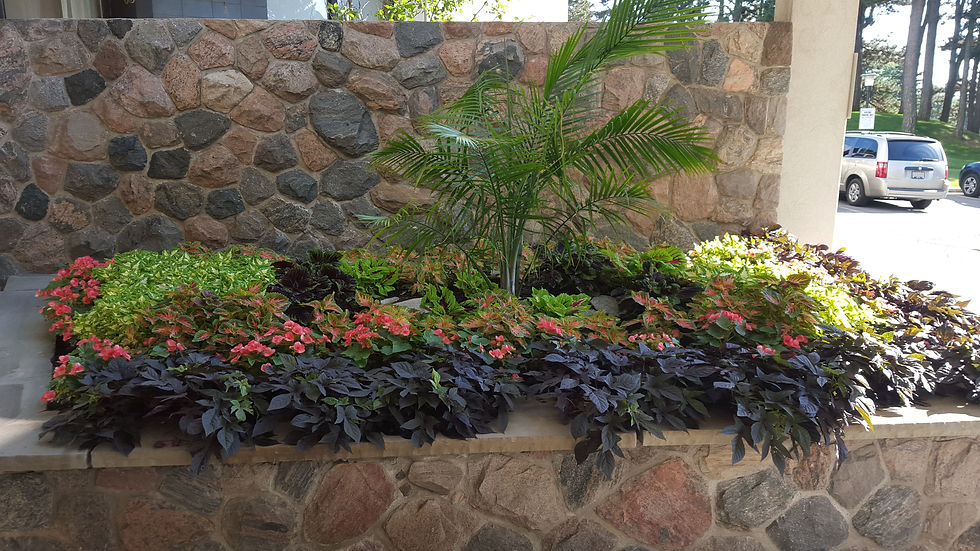 Commercial Site - Garden Beds