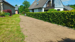 Remise à niveau d'une pelouse