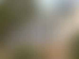 Hayes Part 1 - Introduction