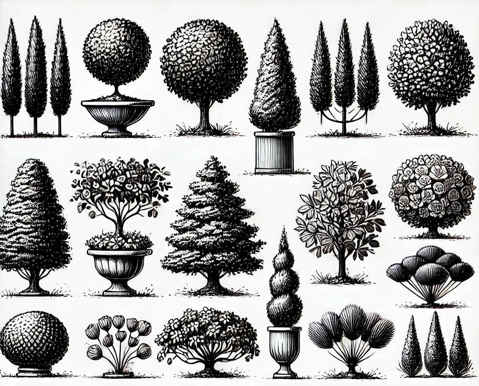 Illustrations of various stylized trees, some in pots, arranged in rows. Black and white line art with detailed foliage patterns.
