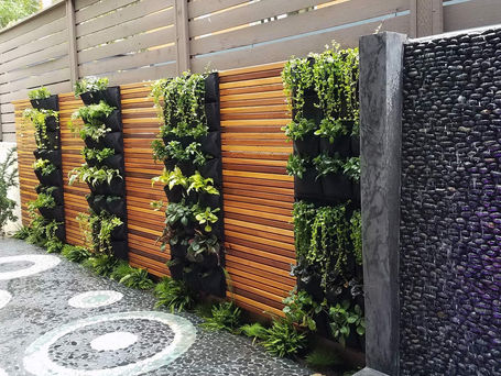 How to Use Green Walls to Add Vertical Interest and Enclosure to Your Garden