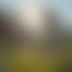 Revolutionize Your Coaching with Custom Football Session Plans