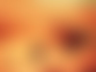 1st International Project