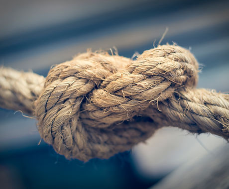 Knot