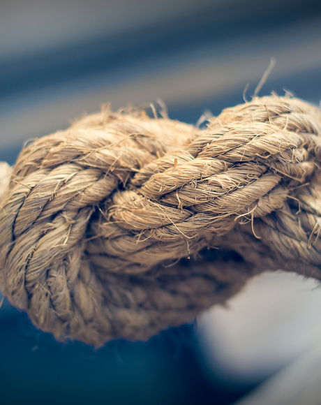 Knot