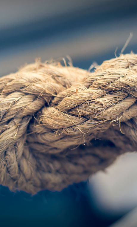Knot