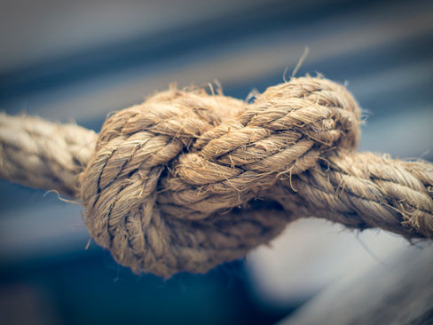 The Ties That Bind Us