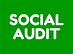 Social Audit.png