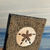 Sand Dollar mixed media mini art