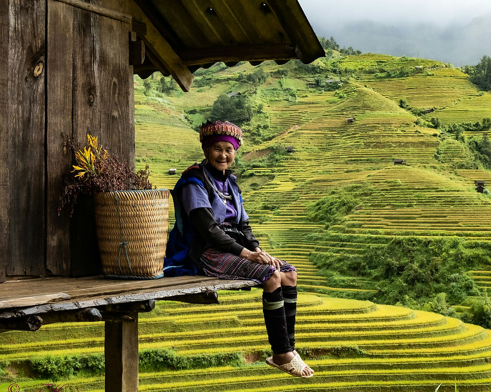 Vietnam - Rijstvelden