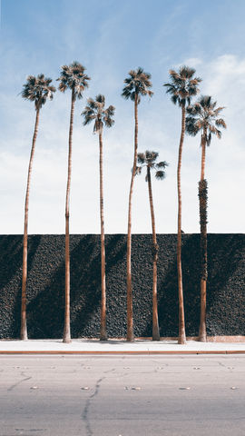 designstad Palm Springs