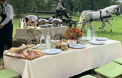 Picnic tussen de Lipizaner-paarden